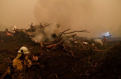 Пожары в Австралии