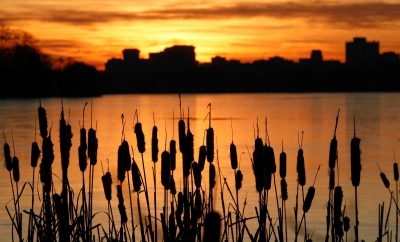 Гороскоп на 15 января всех знаков Зодиака: ценная потеря и развал отношений