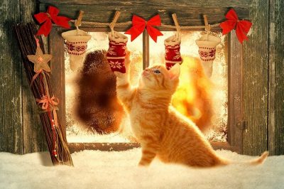3 февраля – праздник Новый год по лунному календарю и Максимов день – что нельзя делать, приметы 3 февраля – праздник Новый год по лунному календарю и Максимов день – что нельзя делать, приметы