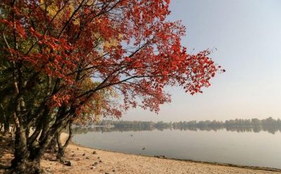 Эксперт спрогнозировала, что в Украине в среду будет идеальное бабье лето – Погода на завтра 