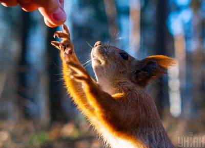 Синоптик поделилась, что с 27 января в Украине потеплеет - Когда потеплеет в Украине 2020