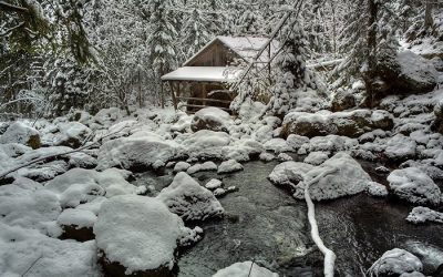 природа_снег_зима
