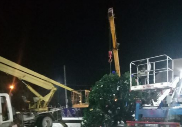 На Хмельнитчине рухнула главная городская елка: названа причина ЧП