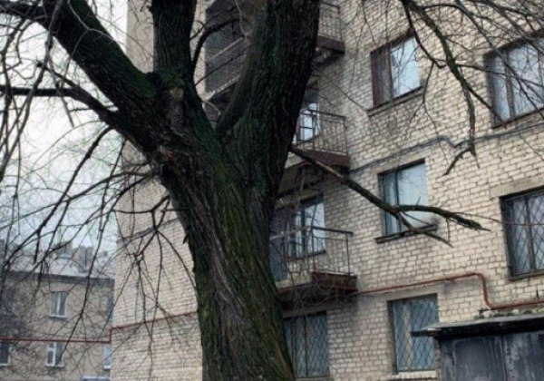 На Донбассе трагически погибли студенты