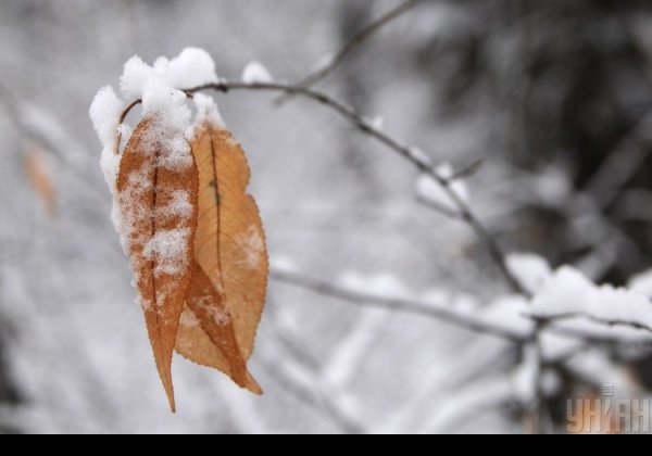 "Зима делает реверанс": синоптик дала для Киева снежный прогноз
