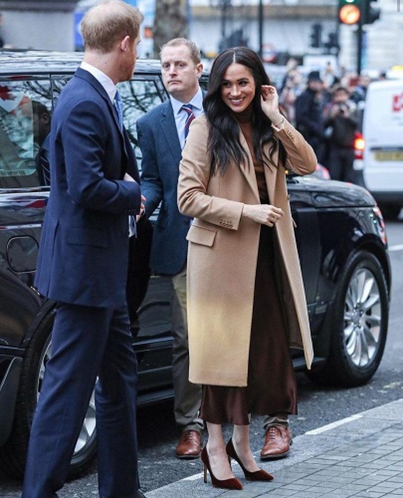 Принц Гарри и Меган Маркл объяснили будущую финансовую независимость