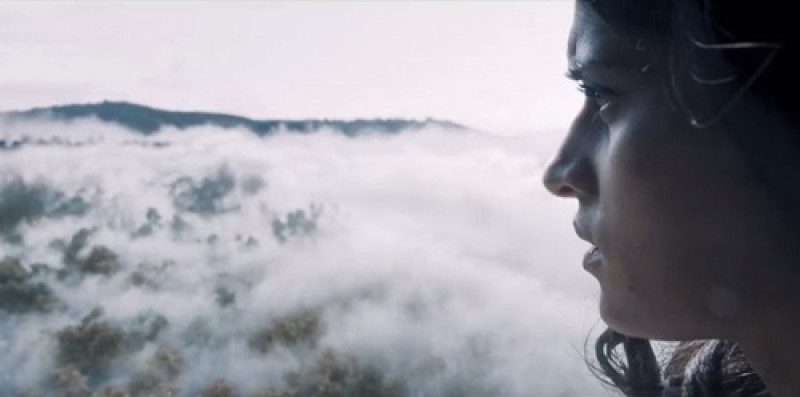 Сериал Ведьмак переснимут как аниме