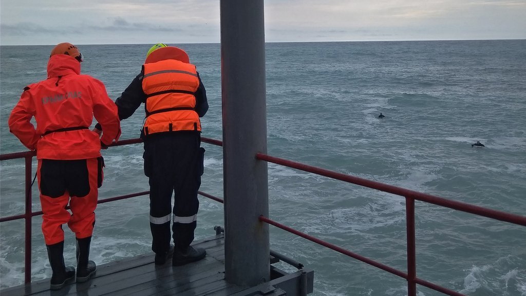 Шторм унес жизни двоих человек в оккупированной Ялте