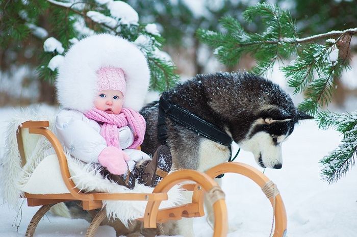 16 февраля – праздник женщин и день Семена и Анны – что нельзя делать, приметы 16 февраля – праздник женщин и день Семена и Анны – что нельзя делать, приметы
