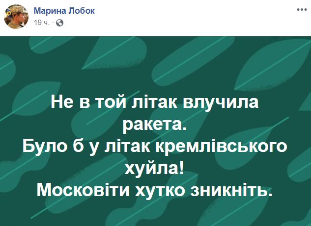 "Це п*здець": волонтерке, яка написала "не в той літак влучила ракета", дісталося в Мережі