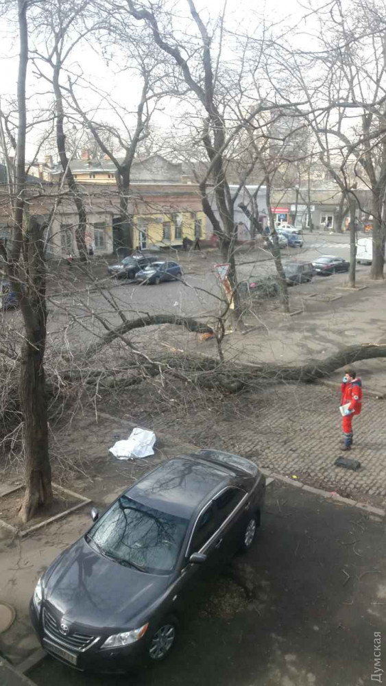 Буревій в Одессі