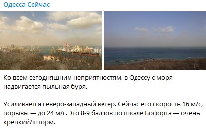 Смертоносный ветер в Одессе: женщину насмерть прибило дерево - фото