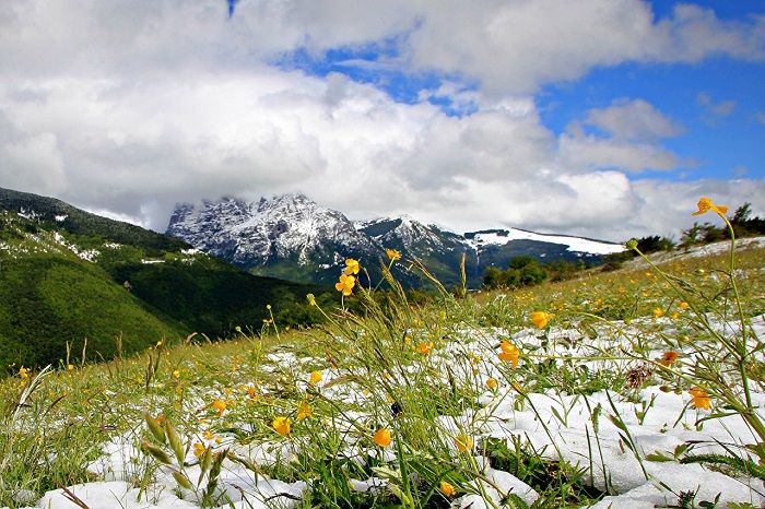 весна_снег_природа_горы весна_снег_природа_горы