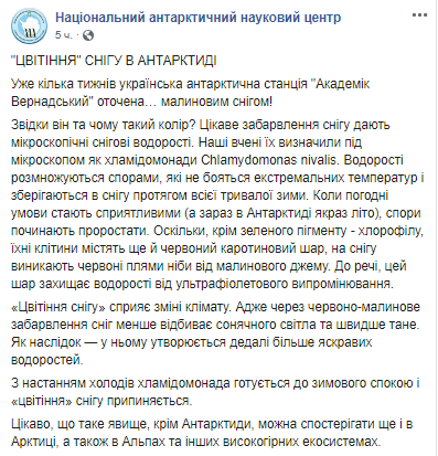 Похож на кровь: в Антарктиде запаниковали из-за окраски снега