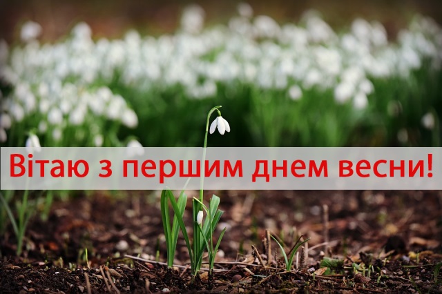 з першим днем весни листівки з першим днем весни листівки