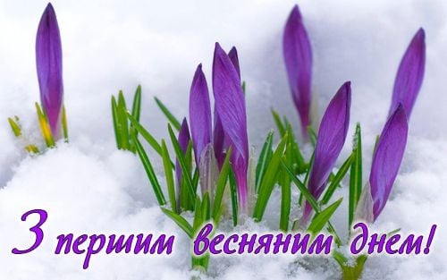 З першим днем весни картинки З першим днем весни картинки