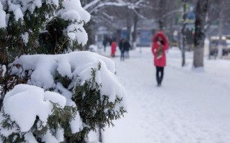 снег снег