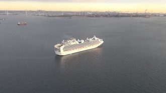 Лайнер Diamond Princess