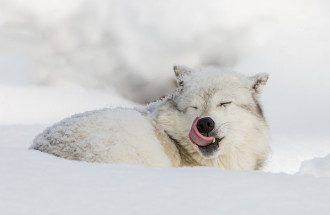 17 февраля – праздник День доброты 2020 и День Николая – поздравления, что нельзя делать 17 февраля – праздник День доброты 2020 и День Николая – поздравления, что нельзя делать