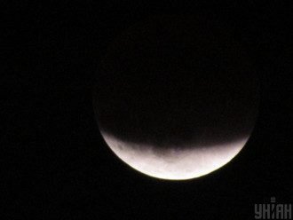 Водолеям на День неторопливости 2020 спрогнозирован карьерный пряник – Гороскоп на 26 февраля 2020 года