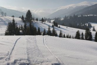 сніг сніг