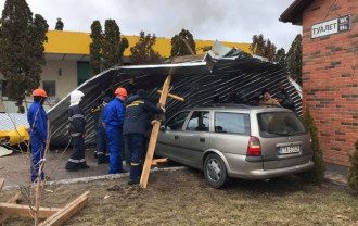 В Херсоне на ребенка упало дерево / фото ГСЧС В Херсоне на ребенка упало дерево / фото ГСЧС
