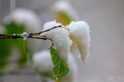 Погода в Украине на февраль: синоптик назвал среднюю температуру и указал на "сюрприз"
