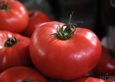 помідор помідор
