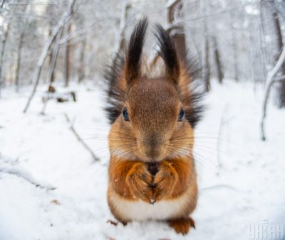 В ГСЧС предупредили, что на выходных погода в Украине осложнится - Прогноз погоды