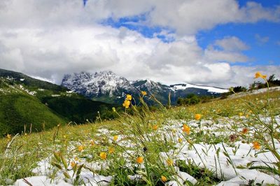 весна_снег_природа_горы весна_снег_природа_горы