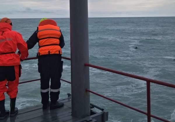 Смыло волной: в оккупированном Крыму трагически погибли двое туристов