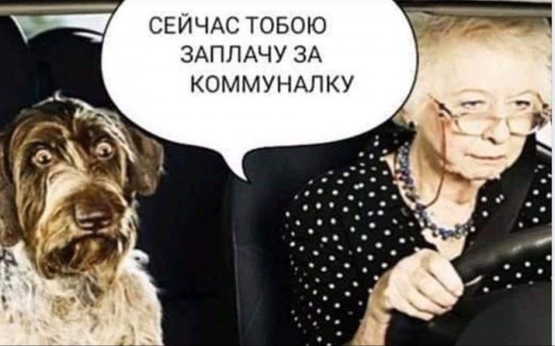 "Собирайся, Сирко, из облгаза пришли": Сеть взорвалась мемами из-за оплаты за газ продажей собаки