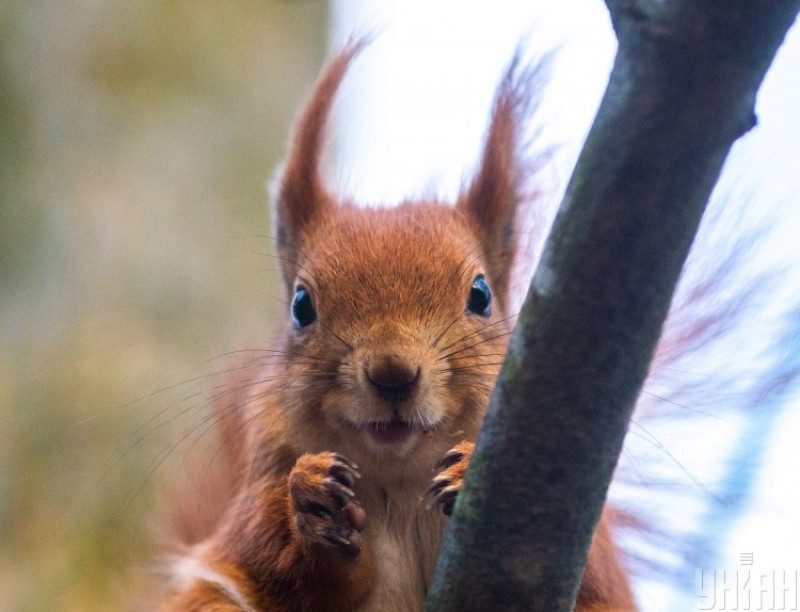 Народний синоптик попередив про погодні неприємності березня 2020