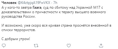 "Ще б Путіна на лаву підсудних": завтра в Гаазі "судний день" у справі MH17 - деталі "Ще б Путіна на лаву підсудних": завтра в Гаазі "судний день" у справі MH17 - деталі