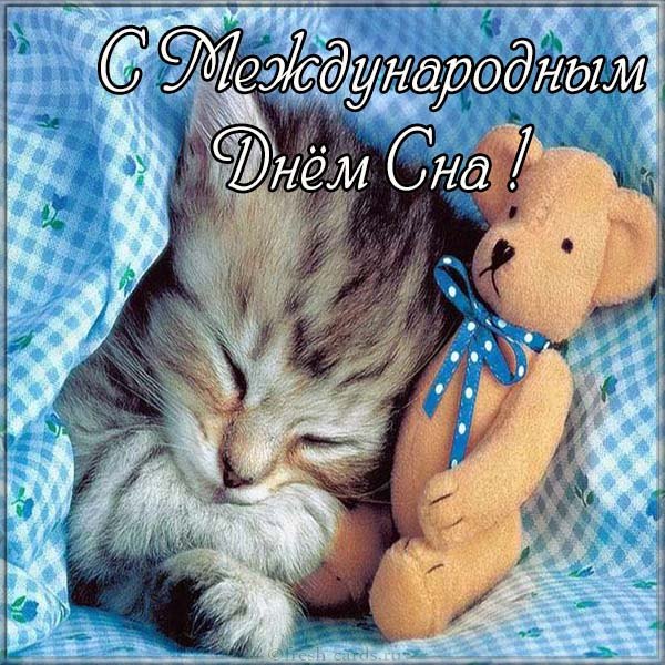 день сна фото прикольные день сна фото прикольные