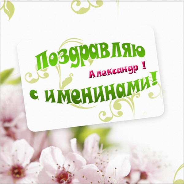 День ангела Александра 2020 – поздравления и открытки с Днем Александра День ангела Александра 2020 – поздравления и открытки с Днем Александра