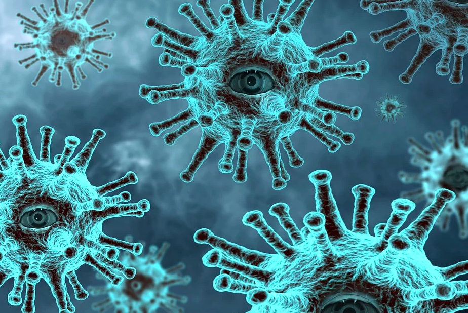 В Москве ученые нашли в морской губке вещества для борьбы с коронавирусом