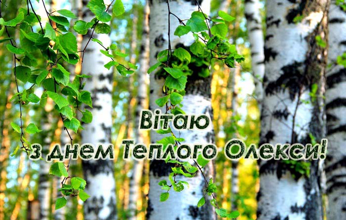 Теплого Олекси 2020 - що можна робити і не можна, прикмети на Олексія