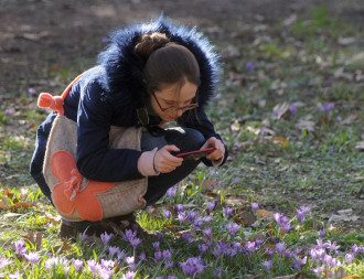 Синоптик спрогнозувала, що в Києві в четвер підстрибне температура – Прогноз погоди Київ Синоптик спрогнозувала, що в Києві в четвер підстрибне температура – Прогноз погоди Київ