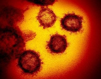 Собраны прогнозы ученых относительно того, когда закончится пандемия китайского вируса – Когда закончится эпидемия коронавирус