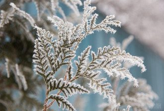 Синоптики, погода Синоптики, погода