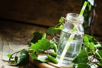 Березовый сок – польза, рецепт, как и когда собирать березовый сок в 2020 году Березовый сок – польза, рецепт, как и когда собирать березовый сок в 2020 году