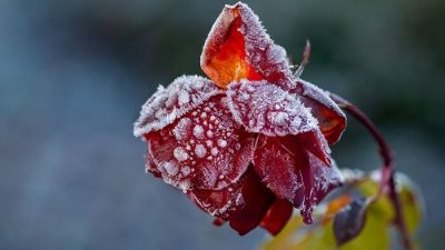 Вріжуть заморозки до -3°: українцям назвали найхолодніший день