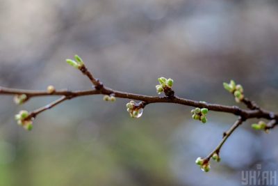 погода,Київ,весна