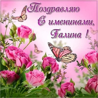 День ангела Галины 2020 – поздравления и картинки с именинами Галины