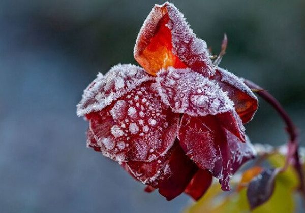 В Україну йдуть морози: градуси впадуть удвічі