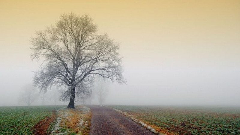 11 марта – какой сегодня праздник: что делать в день Прокопа