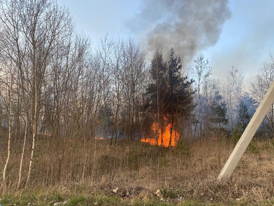 Пожежа на звалищі Львівської області