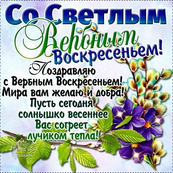 С Вербным воскресеньем 2020: открытки, красивые картинки, поздравления и  пожелания к празднику