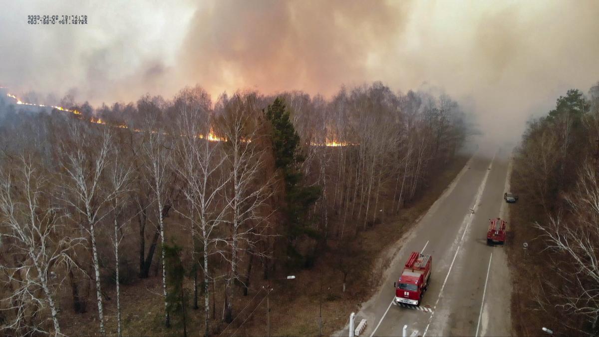 В Чорнобильській зоні продовжуються лісові пожежі В Чорнобильській зоні продовжуються лісові пожежі